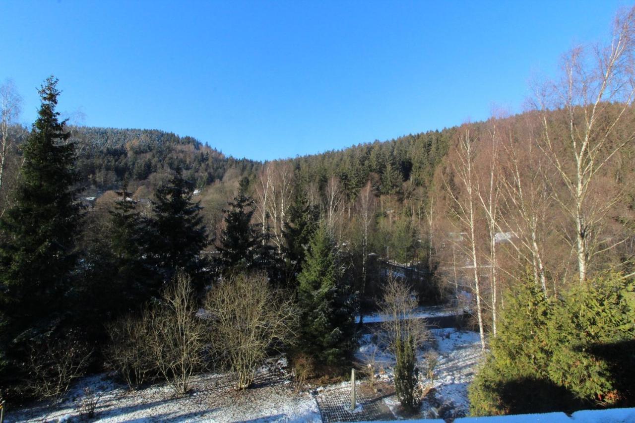 Home-Im-Harz Lautenthal Exterior foto
